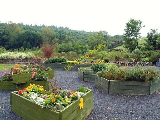 Photo 6"x4" Leswalt Community Garden Leswalt c2008