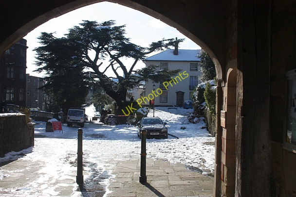 Photo 6"x4" Cedar tree in Abbey Road Great Malvern c2010
