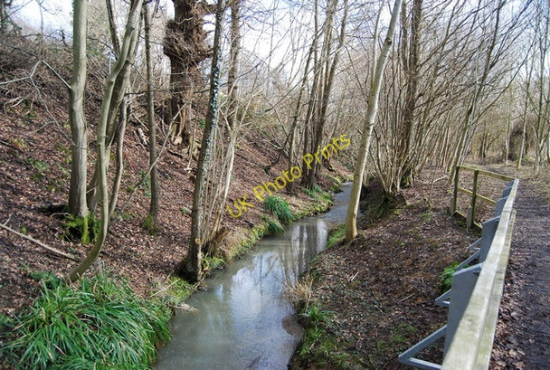 Photo 6"x4" River Line, Lower Hucksteep Wood Mountfield\/TQ7320 c2009