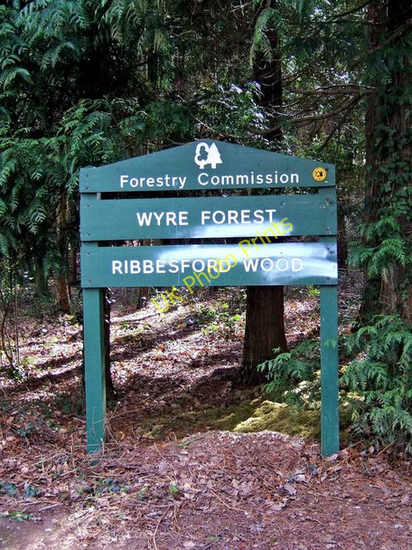 Photo 6"x4" Ribbesford Wood sign on the B4194 road Burlish Park c2009