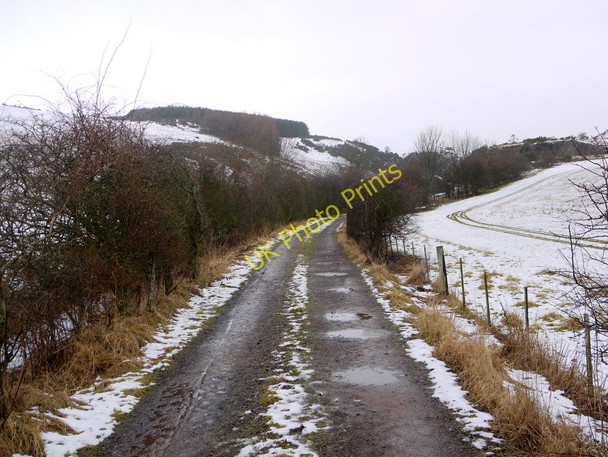 Photo 6"x4" Quarry track, north of Earle Middleton Hall\/NT9825 c2010
