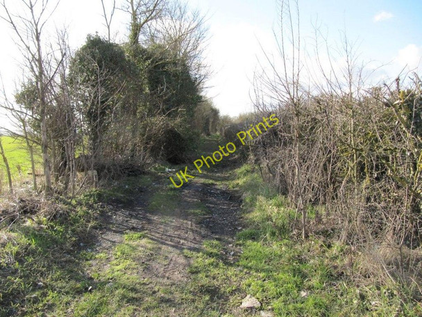 Photo 6"x4" Bridleway to Newnham Murren Wallingford c2010