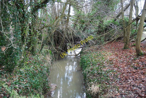 Photo 6"x4" The Darwell Stream: upstream Robertsbridge c2009