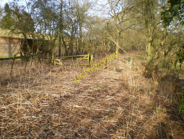 Photo 6"x4" A little-used bridleway Tong\/SJ7907 c2010