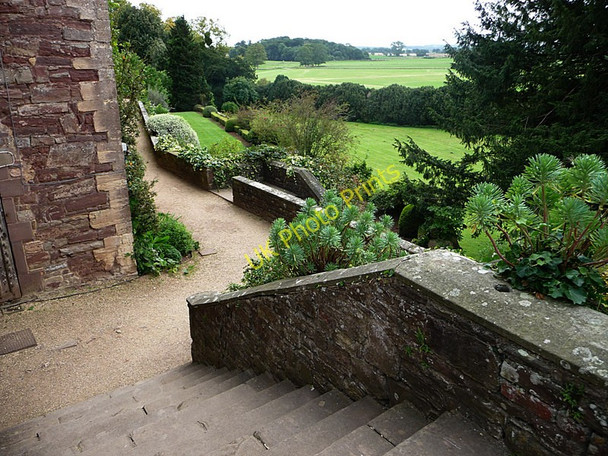 Photo 6"x4" Berkeley Castle, garden Ham\/ST6898 c2009