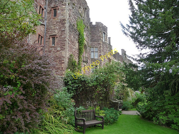 Photo 6"x4" Berkeley Castle, garden Ham\/ST6898 c2009 P1