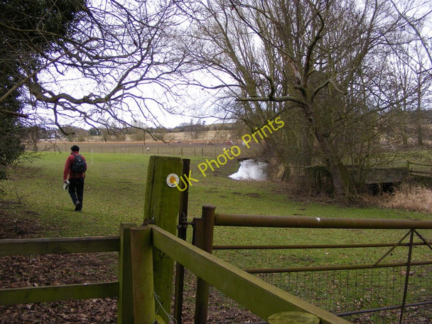 Photo 6"x4" Stratford Brook Path Bradney\/SO7695 c2010