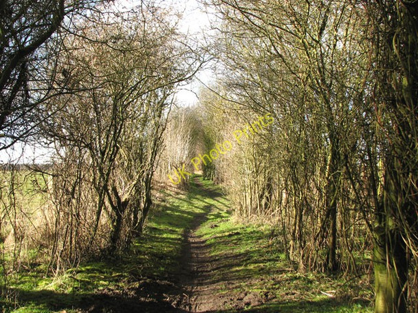 Photo 6"x4" Shady path from the River Thet to the village of Bridgham Brettenham\/TL9383 c2010