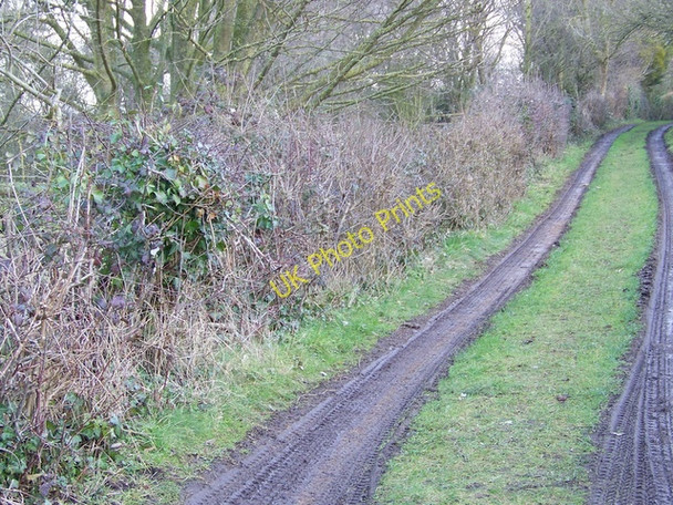 Photo 6"x4" Footpath near Keinton Mandeville Barton St David c2010