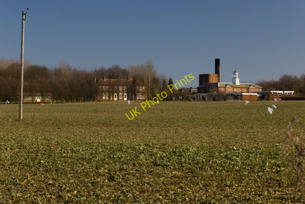 Photo 6"x4" North of Winestead Lane Winestead c2010