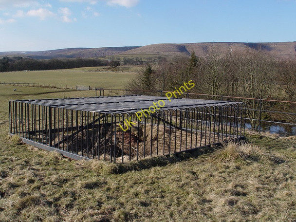 Photo 6"x4" Lime Kiln Feed Fair Oak\/SD6446 c2010