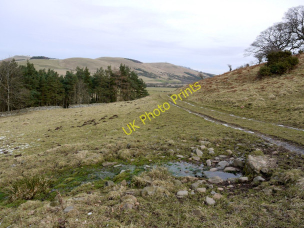 Photo 6"x4" Small stream below track, north-east of West Hill Westnewton\/NT9030 c2010