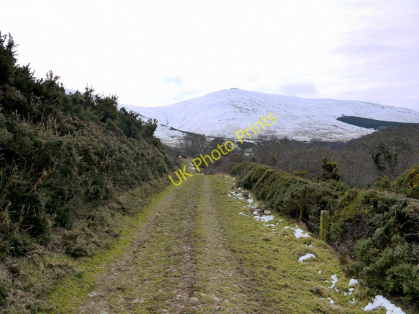 Photo 6"x4" Track west of West Hill Westnewton\/NT9030 c2010