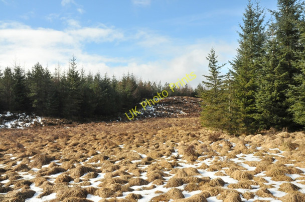 Photo 6"x4" Marshy ground Abhainn Dubh\/NH0757 c2010