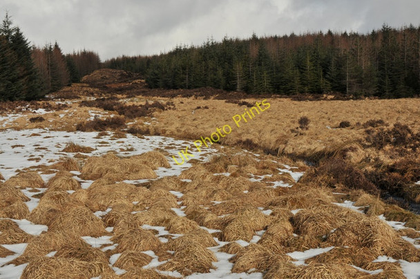Photo 6"x4" Course of Allt Clach a Mhaim Abhainn Dubh\/NH0757 c2010