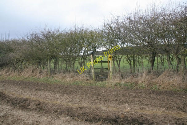 Photo 6"x4" H in the hedge Little Heath\/SU6573 c2010
