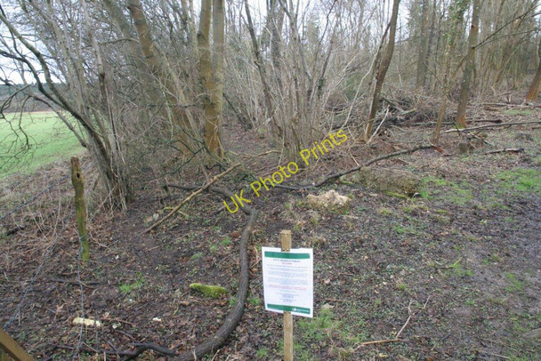 Photo 6"x4" Notice in the wood Little Heath\/SU6573 c2010
