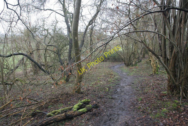 Photo 6"x4" Footpath from the pillbox Little Heath\/SU6573 c2010