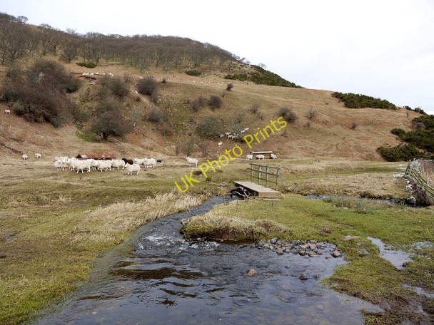 Photo 6"x4" Footbridge east of Hethpool Lake Westnewton\/NT9030 c2010