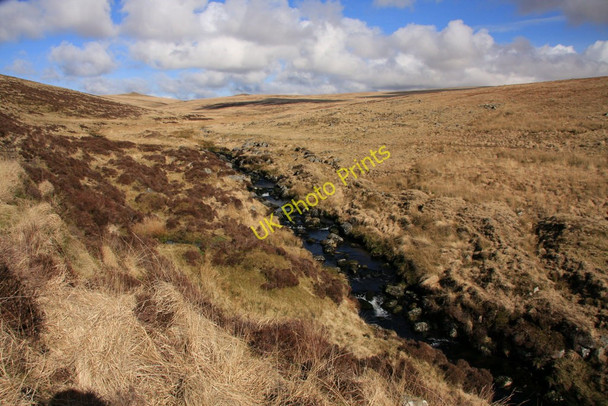 Photo 6"x4" Rattle Brook Amicombe Brook c2010