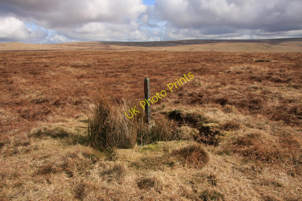 Photo 6"x4" Isolated post on Amicombe Hill Amicombe Brook c2010