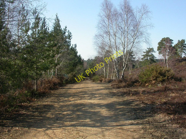 Photo 6"x4" Avon Heath, bridleway St Ives\/SU1204 c2010