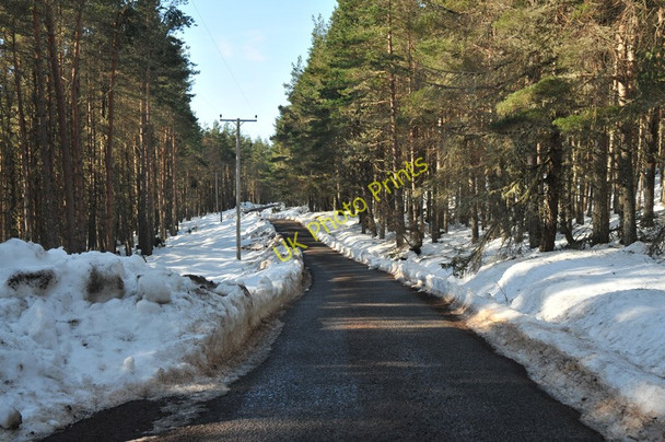 Photo 6"x4" Minor road near Abriachan Blackfold\/NH5840 c2010 P1
