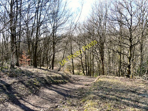 Photo 6"x4" Path to Gibraltar Row Hyde\/SJ9494 c2010