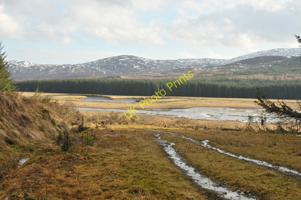 Photo 6"x4" View across Strath Bran Viaduct Plantation c2010