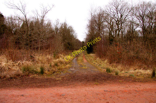 Photo 6"x4" Side track in Shabbington Wood Oakley\/SP6312 c2010