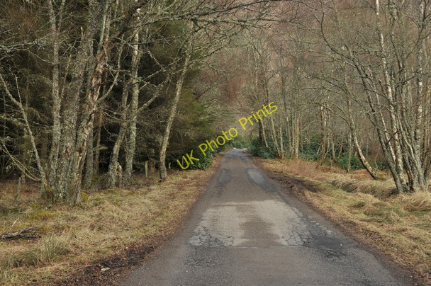 Photo 6"x4" Road to Strathgarve Lodge Strath Garve \/ Srath Gairbh c2010
