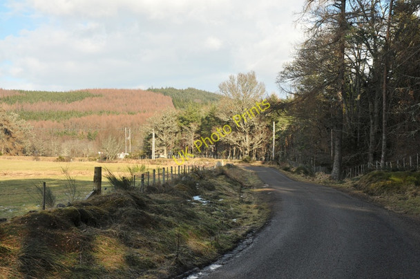 Photo 6"x4" Road from Contin to Loch Achilty Contin\/Cunndainn c2010