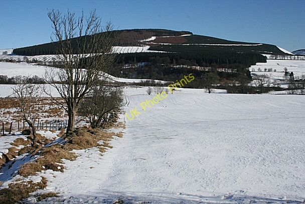 Photo 6"x4" Looking towards Benscravie Dykehead\/NO3860 c2010