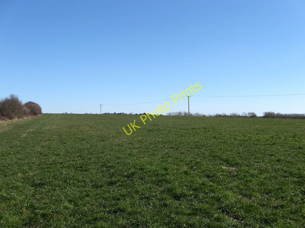 Photo 6"x4" South Field Cooden c2010