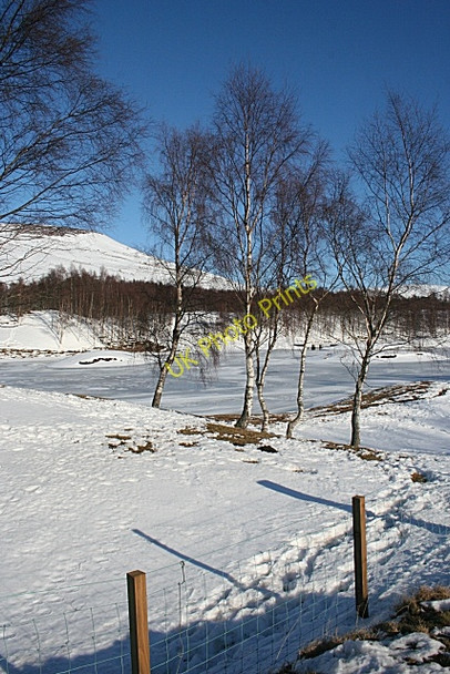 Photo 6"x4" Loch Heath Clova\/NO3273 c2010