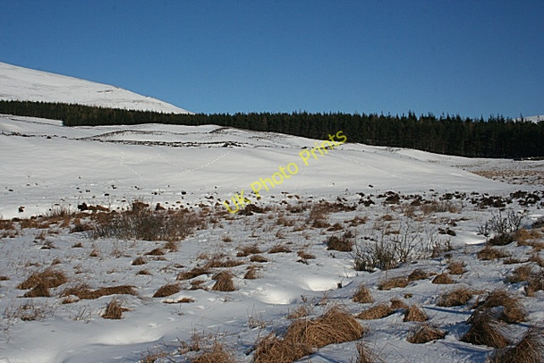 Photo 6"x4" Moraines by Adielinn Plantation Wester Eggie c2010