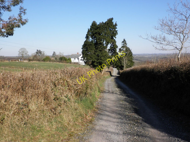 Photo 6"x4" Track to Great Hole Farm Eastington\/SS7409 c2010