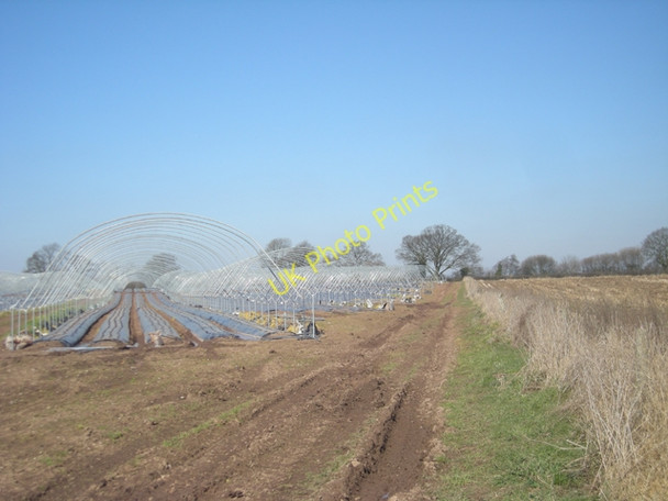 Photo 6"x4" Poly-tunnels under construction Longnor\/SJ8614 c2010