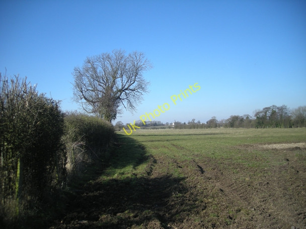 Photo 6"x4" Just an ordinary muddy field Lapley c2010