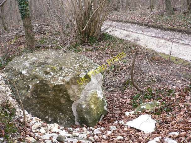 Photo 6"x4" Chalk ball by footpath on the Chalk Stones Trail West Dean\/SU8612 c2010