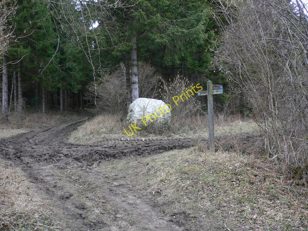 Photo 6"x4" Chalk ball by bridleway junction Bepton c2010