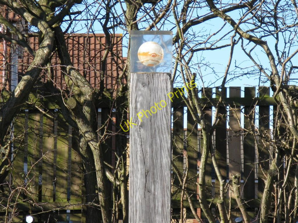 Photo 6"x4" Jupiter, the giant planet at Broxburn Kirkhill\/NT0772 c2010