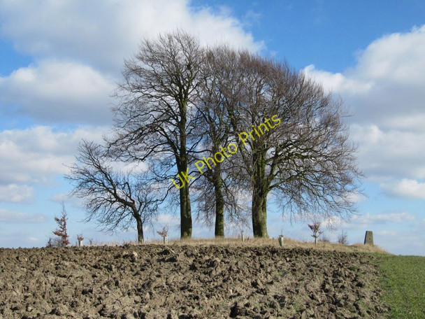 Photo 6"x4" Copse on the barrow Brightwell-cum-Sotwell c2010