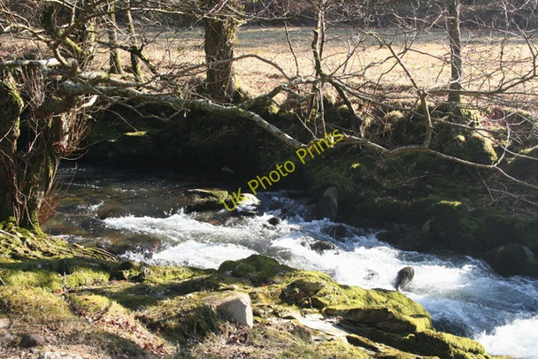 Photo 6"x4" Whitchurch: the Walkham Grenofen c2010