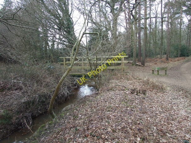 Photo 6"x4" Castleman Trailway in Ferndown Forest Ameysford c2010