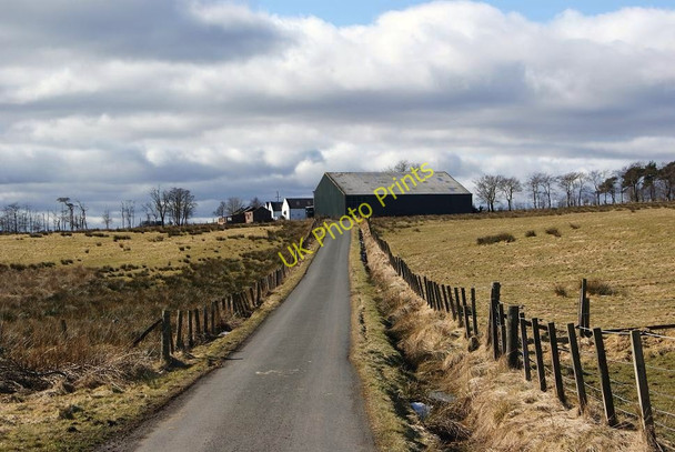 Photo 6"x4" Approaching Easter Fannyside Farm Abronhill c2010