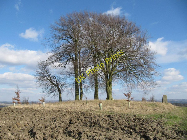 Photo 6"x4" Brightwell Barrow from the clumps side Brightwell-cum-Sotwell c2010