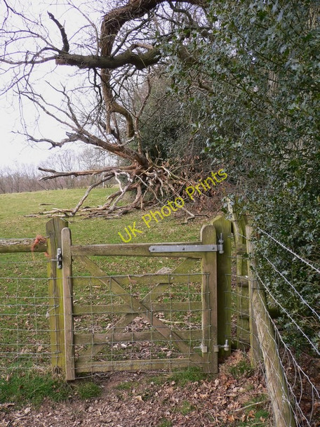 Photo 6"x4" Gate on the Sussex Border Path Fisherstreet c2010
