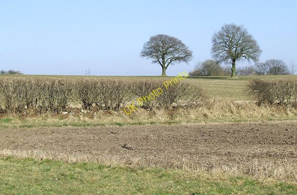 Photo 6"x4" Arable land near Seisdon, Staffordshire Seisdon c2010