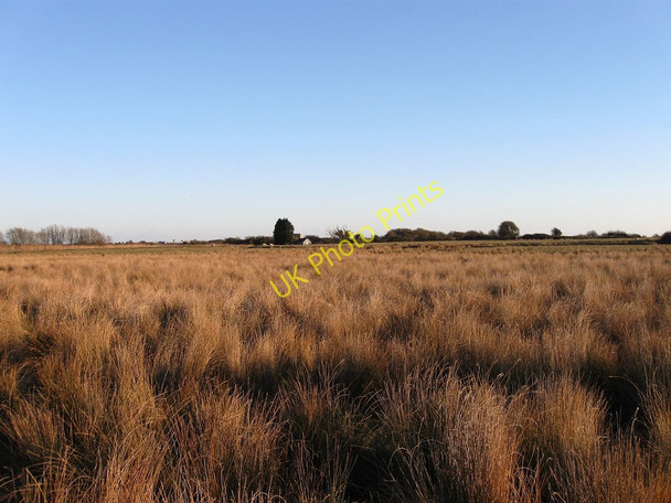 Photo 6"x4" Thirteen Acres Norman's Bay c2010